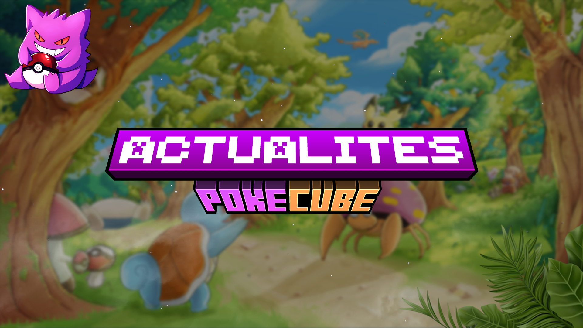 POKECUBE POUR BIENTÔT!